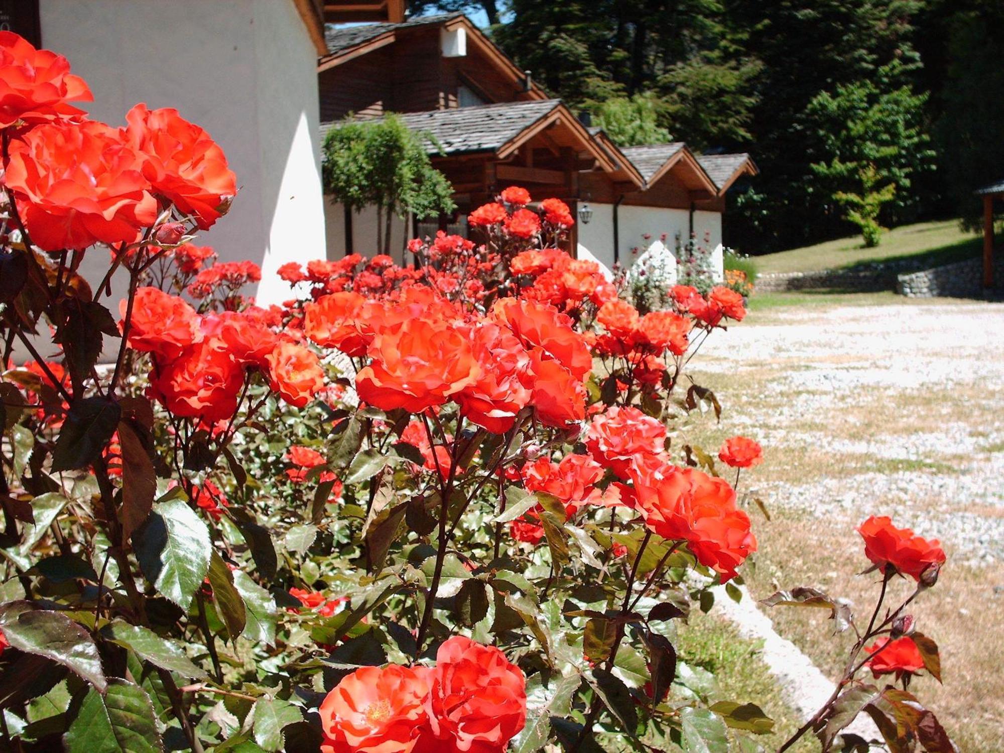 Hosteria El Condado San Carlos de Bariloche Dış mekan fotoğraf